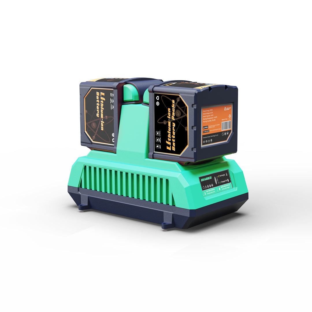 MC - 2 Dual Battery Pack for D24 - 100 Batteries - Elant Store