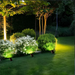 Solar path light illuminating garden bushes and trees with soft white 3000K LED light at night