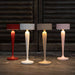 Twiggy cordless table lamps in red, white, beige, and pink with elegant curved design and soft lighting