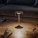 Crystal cordless table lamp with removable glass shade on a modern table.