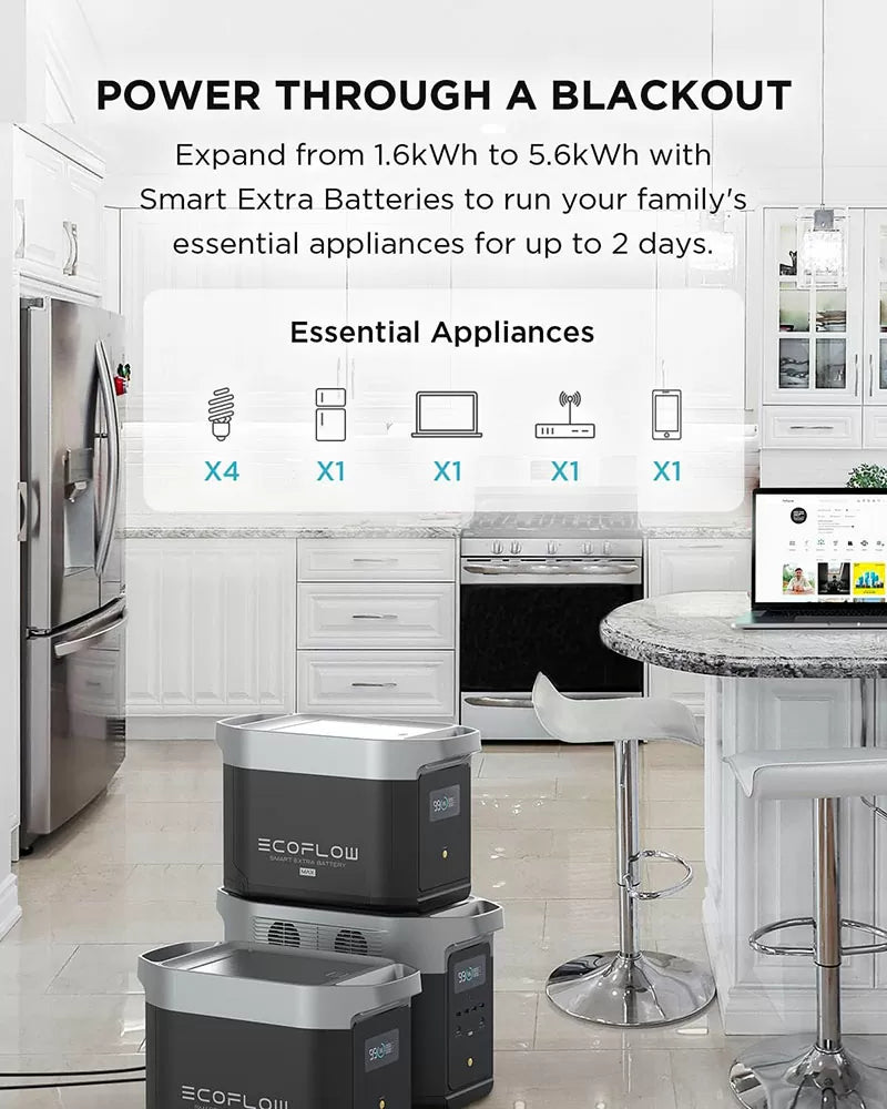 EcoFlow DELTA MAX 1600 UK - Elant Store