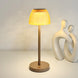 Frosted glass USB touch rechargeable table lamp with warm light and modern design
