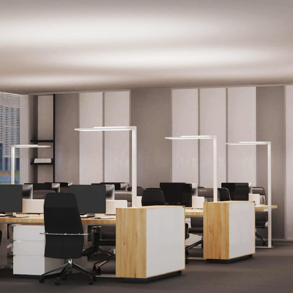 Sakura F004 modern LED floor lamps illuminating open office workspace with adjustable arm and sleek design