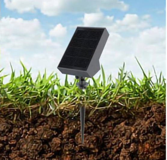 Solar path light with monocrystalline silicon panel in garden setting.
