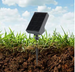 Solar path light with monocrystalline silicon panel in garden setting.