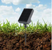 Solar path light with monocrystalline silicon panel in garden setting.