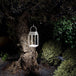Solar Handy Lantern illuminating a garden pathway, eco-friendly outdoor lighting solution.