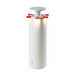 Firework - Elant Store
